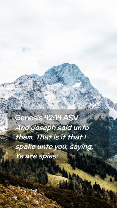 Picture 02 - Genesis 42:14 ASV Mobile Phone Wallpaper - And Joseph said unto them, That is it that I - Mobile Bible Verse Wallpaper