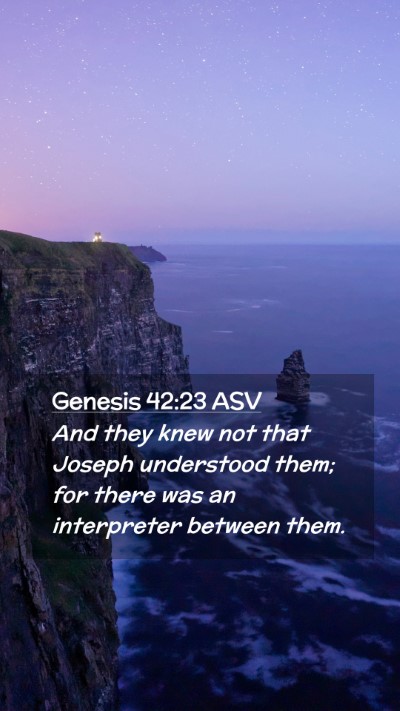 Picture 02 - Genesis 42:23 ASV Mobile Phone Wallpaper - And they knew not that Joseph understood them; - Mobile Bible Verse Wallpaper