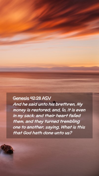 Picture 02 - Genesis 42:28 ASV Mobile Phone Wallpaper - And he said unto his brethren, My money is - Mobile Bible Verse Wallpaper