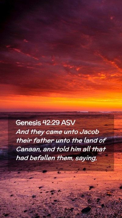Picture 02 - Genesis 42:29 ASV Mobile Phone Wallpaper - And they came unto Jacob their father unto the - Mobile Bible Verse Wallpaper