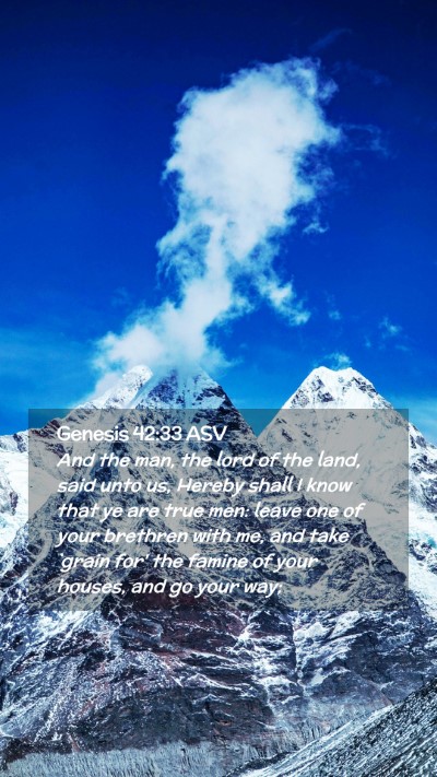 Picture 02 - Genesis 42:33 ASV Mobile Phone Wallpaper - And the man, the lord of the land, said unto us, - Mobile Bible Verse Wallpaper