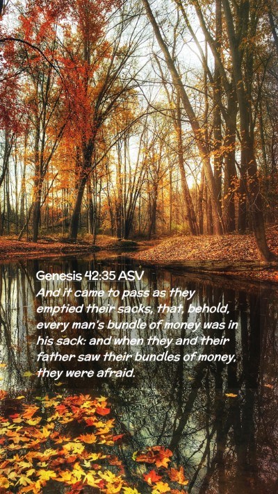 Picture 02 - Genesis 42:35 ASV Mobile Phone Wallpaper - And it came to pass as they emptied their sacks, - Mobile Bible Verse Wallpaper
