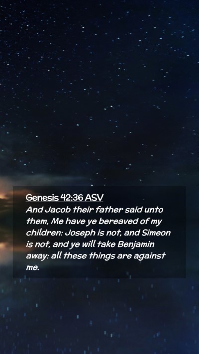 Picture 02 - Genesis 42:36 ASV Mobile Phone Wallpaper - And Jacob their father said unto them, Me have ye - Mobile Bible Verse Wallpaper