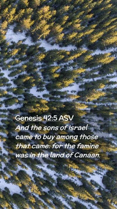 Picture 02 - Genesis 42:5 ASV Mobile Phone Wallpaper - And the sons of Israel came to buy among those - Mobile Bible Verse Wallpaper