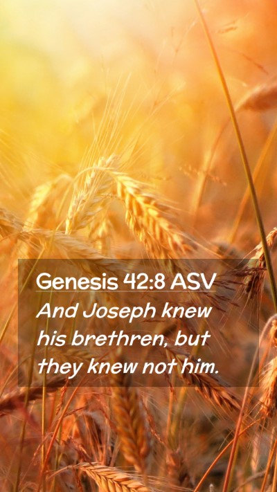 Picture 02 - Genesis 42:8 ASV Mobile Phone Wallpaper - And Joseph knew his brethren, but they knew not - Mobile Bible Verse Wallpaper