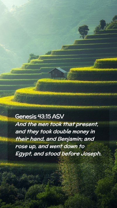 Picture 02 - Genesis 43:15 ASV Mobile Phone Wallpaper - And the men took that present, and they took - Mobile Bible Verse Wallpaper
