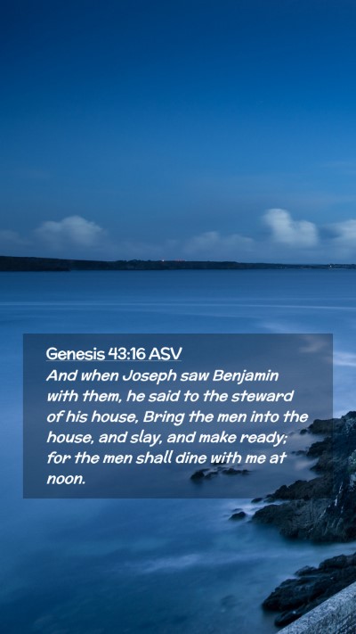 Picture 02 - Genesis 43:16 ASV Mobile Phone Wallpaper - And when Joseph saw Benjamin with them, he said - Mobile Bible Verse Wallpaper