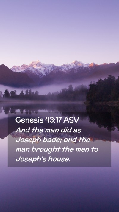Picture 02 - Genesis 43:17 ASV Mobile Phone Wallpaper - And the man did as Joseph bade; and the man - Mobile Bible Verse Wallpaper