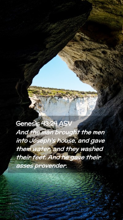 Picture 02 - Genesis 43:24 ASV Mobile Phone Wallpaper - And the man brought the men into Joseph's house, - Mobile Bible Verse Wallpaper