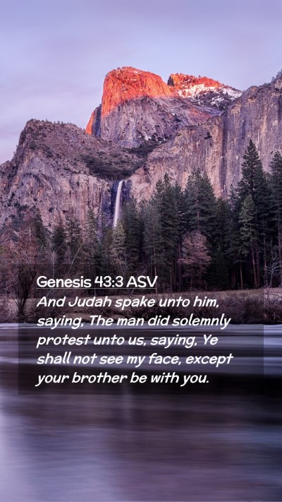 Picture 02 - Genesis 43:3 ASV Mobile Phone Wallpaper - And Judah spake unto him, saying, The man did - Mobile Bible Verse Wallpaper