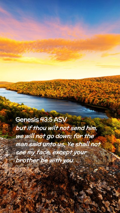 Picture 02 - Genesis 43:5 ASV Mobile Phone Wallpaper - but if thou wilt not send him, we will not go - Mobile Bible Verse Wallpaper