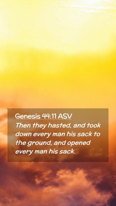 Picture 02 - Genesis 44:11 ASV Mobile Phone Wallpaper - Then they hasted, and took down every man his - Mobile Bible Verse Wallpaper