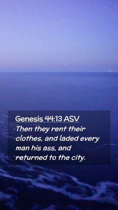 Picture 02 - Genesis 44:13 ASV Mobile Phone Wallpaper - Then they rent their clothes, and laded every man - Mobile Bible Verse Wallpaper