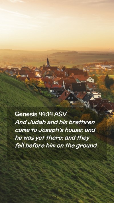 Picture 02 - Genesis 44:14 ASV Mobile Phone Wallpaper - And Judah and his brethren came to Joseph's - Mobile Bible Verse Wallpaper