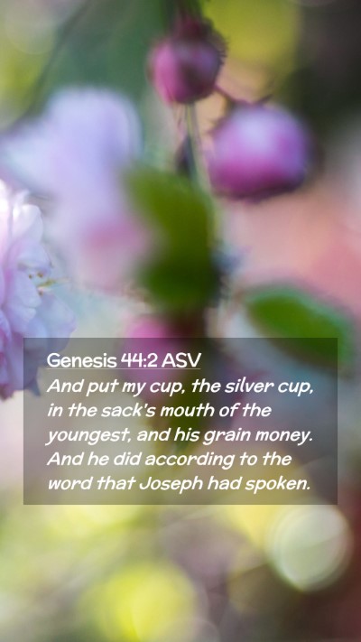 Picture 02 - Genesis 44:2 ASV Mobile Phone Wallpaper - And put my cup, the silver cup, in the sack's - Mobile Bible Verse Wallpaper