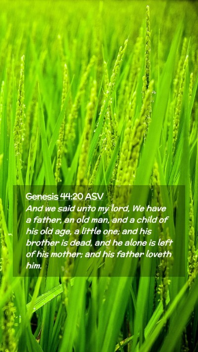Picture 02 - Genesis 44:20 ASV Mobile Phone Wallpaper - And we said unto my lord, We have a father, an - Mobile Bible Verse Wallpaper