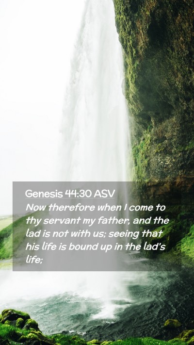 Picture 02 - Genesis 44:30 ASV Mobile Phone Wallpaper - Now therefore when I come to thy servant my - Mobile Bible Verse Wallpaper