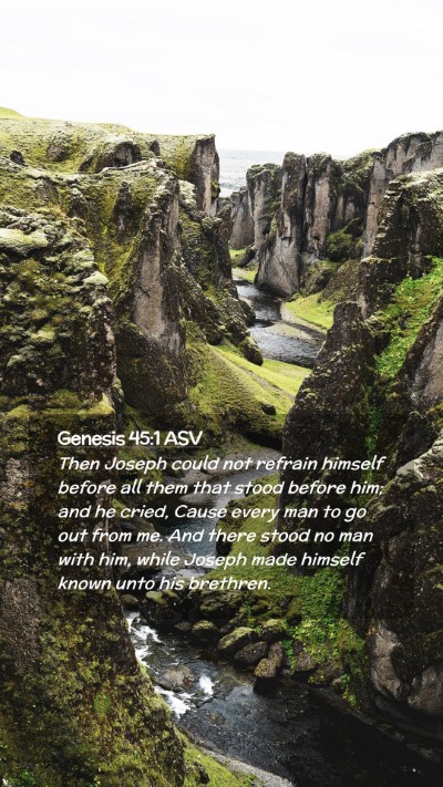 Picture 02 - Genesis 45:1 ASV Mobile Phone Wallpaper - Then Joseph could not refrain himself before all - Mobile Bible Verse Wallpaper