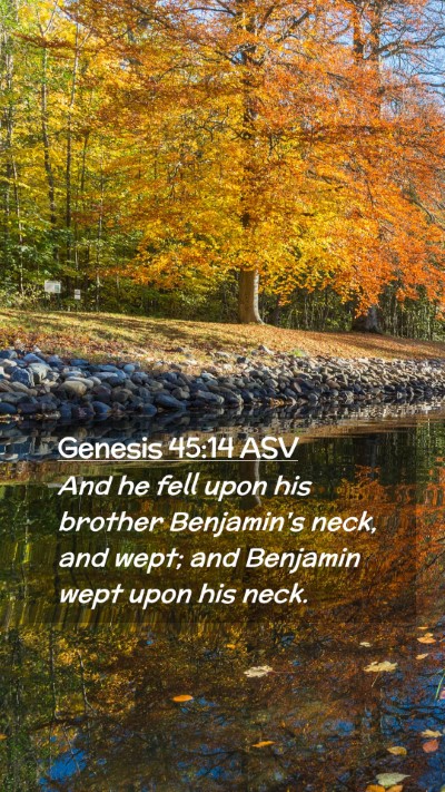Picture 02 - Genesis 45:14 ASV Mobile Phone Wallpaper - And he fell upon his brother Benjamin's neck, and - Mobile Bible Verse Wallpaper