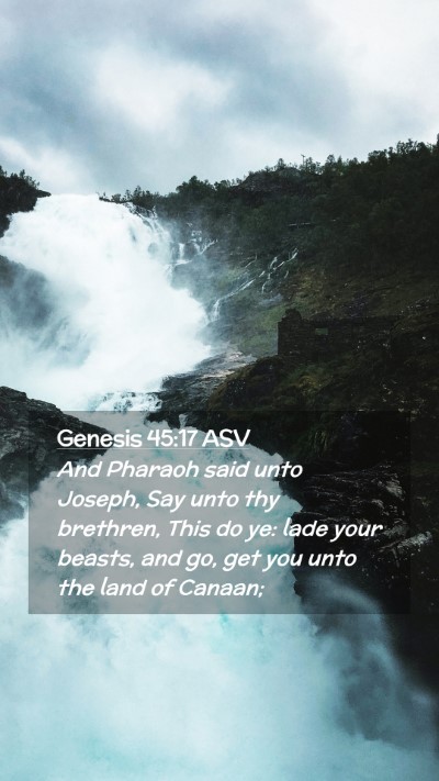 Picture 02 - Genesis 45:17 ASV Mobile Phone Wallpaper - And Pharaoh said unto Joseph, Say unto thy - Mobile Bible Verse Wallpaper