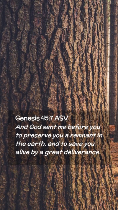 Picture 02 - Genesis 45:7 ASV Mobile Phone Wallpaper - And God sent me before you to preserve you a - Mobile Bible Verse Wallpaper