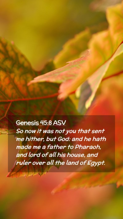 Picture 02 - Genesis 45:8 ASV Mobile Phone Wallpaper - So now it was not you that sent me hither, but - Mobile Bible Verse Wallpaper