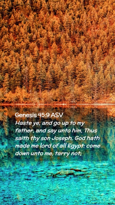 Picture 02 - Genesis 45:9 ASV Mobile Phone Wallpaper - Haste ye, and go up to my father, and say unto - Mobile Bible Verse Wallpaper