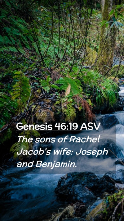 Picture 02 - Genesis 46:19 ASV Mobile Phone Wallpaper - The sons of Rachel Jacob's wife: Joseph and - Mobile Bible Verse Wallpaper