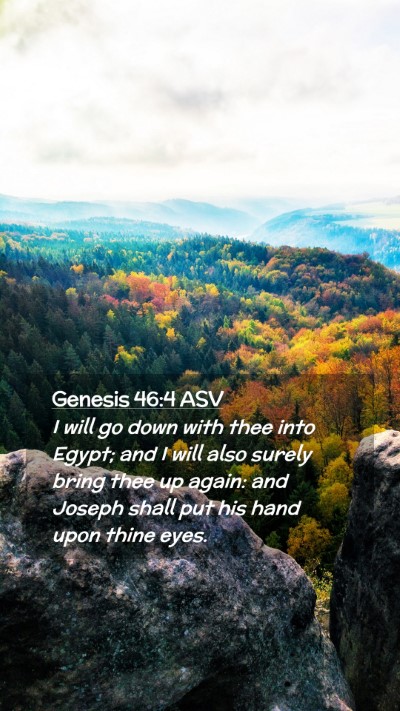 Picture 02 - Genesis 46:4 ASV Mobile Phone Wallpaper - I will go down with thee into Egypt; and I will - Mobile Bible Verse Wallpaper