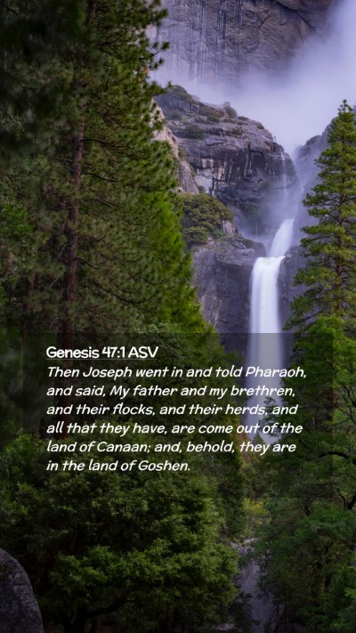 Picture 02 - Genesis 47:1 ASV Mobile Phone Wallpaper - Then Joseph went in and told Pharaoh, and said, - Mobile Bible Verse Wallpaper