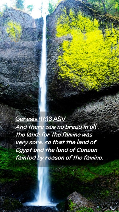 Picture 02 - Genesis 47:13 ASV Mobile Phone Wallpaper - And there was no bread in all the land; for the - Mobile Bible Verse Wallpaper