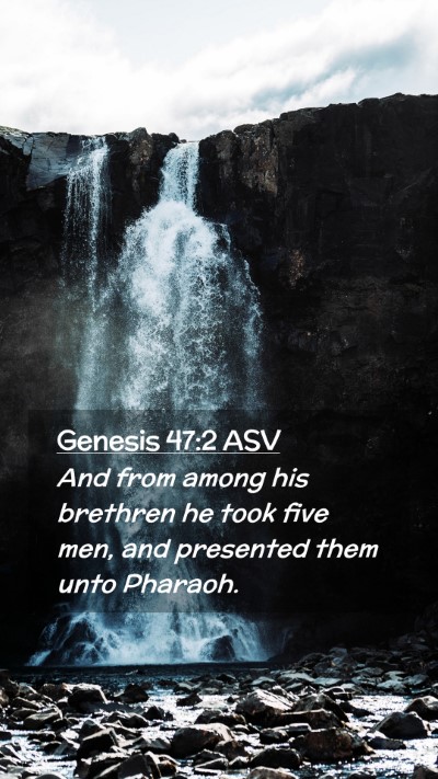 Picture 02 - Genesis 47:2 ASV Mobile Phone Wallpaper - And from among his brethren he took five men, and - Mobile Bible Verse Wallpaper