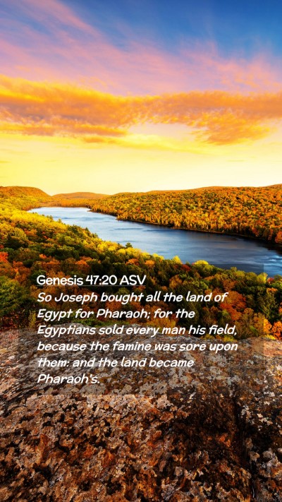 Picture 02 - Genesis 47:20 ASV Mobile Phone Wallpaper - So Joseph bought all the land of Egypt for - Mobile Bible Verse Wallpaper