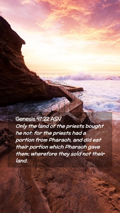 Picture 02 - Genesis 47:22 ASV Mobile Phone Wallpaper - Only the land of the priests bought he not: for - Mobile Bible Verse Wallpaper