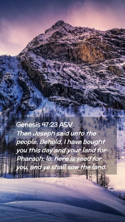 Picture 02 - Genesis 47:23 ASV Mobile Phone Wallpaper - Then Joseph said unto the people, Behold, I have - Mobile Bible Verse Wallpaper