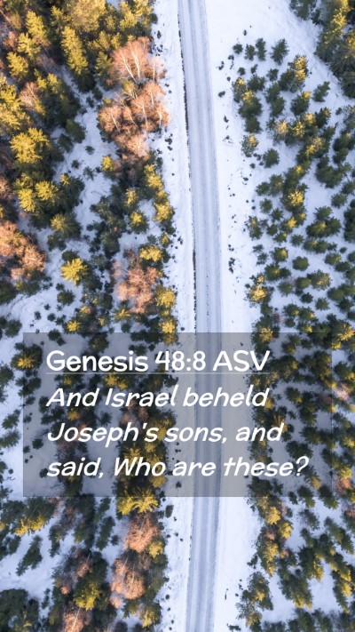 Picture 02 - Genesis 48:8 ASV Mobile Phone Wallpaper - And Israel beheld Joseph's sons, and said, Who - Mobile Bible Verse Wallpaper
