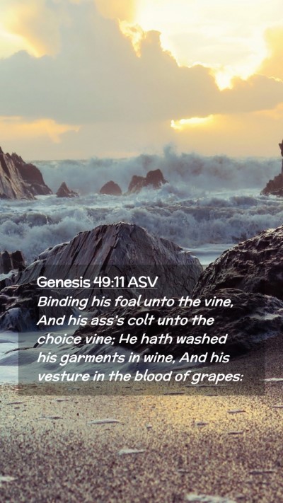 Picture 02 - Genesis 49:11 ASV Mobile Phone Wallpaper - Binding his foal unto the vine, And his ass's - Mobile Bible Verse Wallpaper