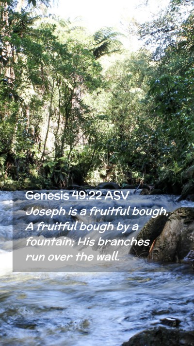 Picture 02 - Genesis 49:22 ASV Mobile Phone Wallpaper - Joseph is a fruitful bough, A fruitful bough by a - Mobile Bible Verse Wallpaper