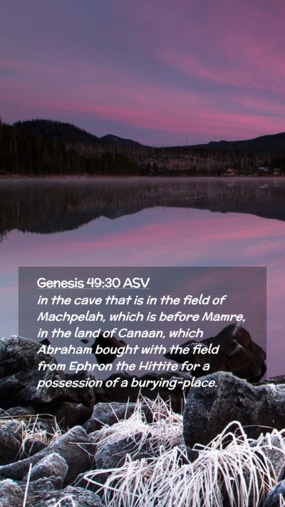 Picture 02 - Genesis 49:30 ASV Mobile Phone Wallpaper - in the cave that is in the field of Machpelah, - Mobile Bible Verse Wallpaper