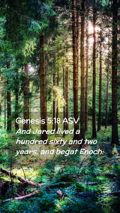 Picture 02 - Genesis 5:18 ASV Mobile Phone Wallpaper - And Jared lived a hundred sixty and two years, - Mobile Bible Verse Wallpaper