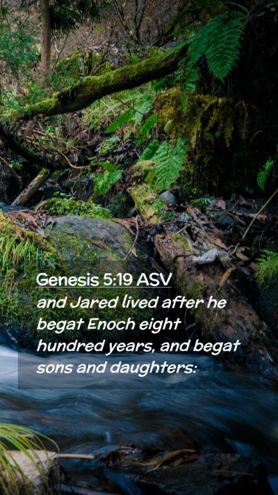 Picture 02 - Genesis 5:19 ASV Mobile Phone Wallpaper - and Jared lived after he begat Enoch eight - Mobile Bible Verse Wallpaper