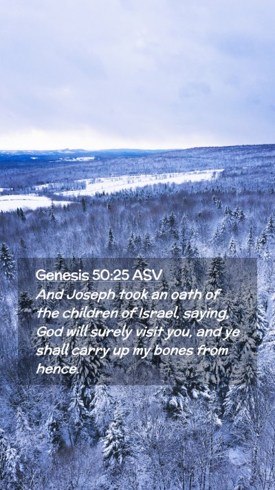 Picture 02 - Genesis 50:25 ASV Mobile Phone Wallpaper - And Joseph took an oath of the children of - Mobile Bible Verse Wallpaper