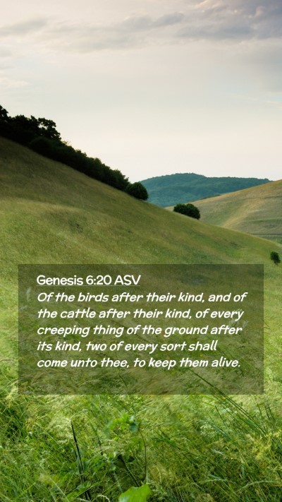 Picture 02 - Genesis 6:20 ASV Mobile Phone Wallpaper - Of the birds after their kind, and of the cattle - Mobile Bible Verse Wallpaper