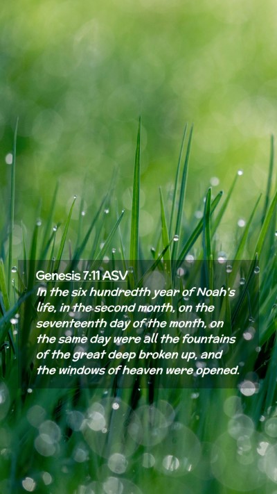Picture 02 - Genesis 7:11 ASV Mobile Phone Wallpaper - In the six hundredth year of Noah's life, in the - Mobile Bible Verse Wallpaper