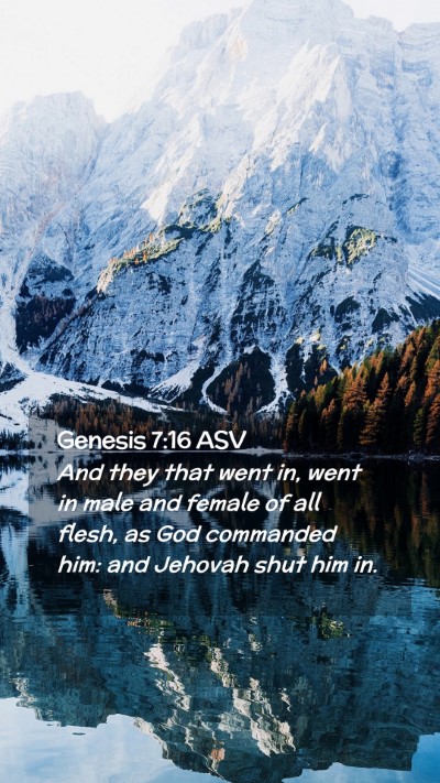 Picture 02 - Genesis 7:16 ASV Mobile Phone Wallpaper - And they that went in, went in male and female of - Mobile Bible Verse Wallpaper