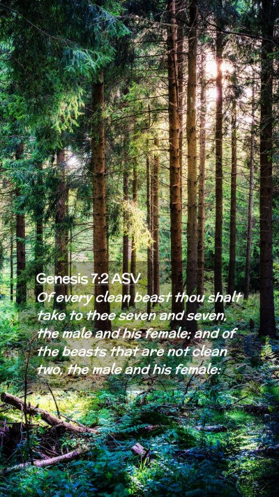 Picture 02 - Genesis 7:2 ASV Mobile Phone Wallpaper - Of every clean beast thou shalt take to thee - Mobile Bible Verse Wallpaper