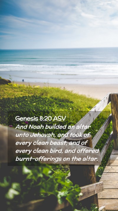 Picture 02 - Genesis 8:20 ASV Mobile Phone Wallpaper - And Noah builded an altar unto Jehovah, and took - Mobile Bible Verse Wallpaper