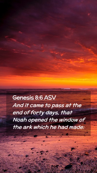 Picture 02 - Genesis 8:6 ASV Mobile Phone Wallpaper - And it came to pass at the end of forty days, - Mobile Bible Verse Wallpaper