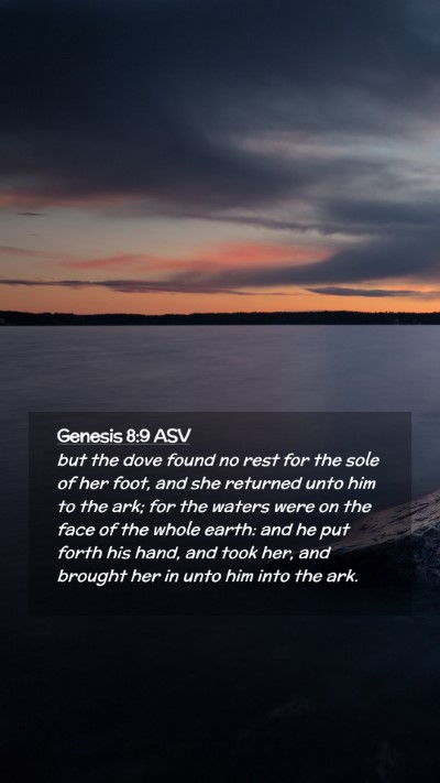 Picture 02 - Genesis 8:9 ASV Mobile Phone Wallpaper - but the dove found no rest for the sole of her - Mobile Bible Verse Wallpaper