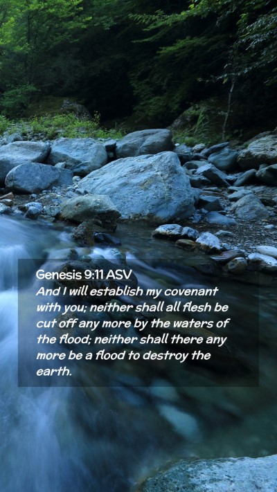 Picture 02 - Genesis 9:11 ASV Mobile Phone Wallpaper - And I will establish my covenant with you; - Mobile Bible Verse Wallpaper